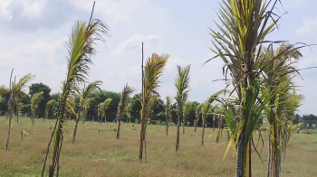 Property for sale in Madurantakam, Chennai