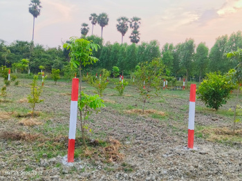 Property for sale in Uthramerur, Chennai