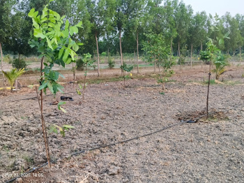 Property for sale in Uthandi, Chennai