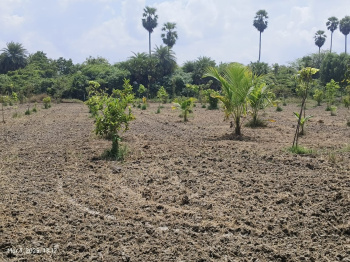 10000 Sq.ft. Agricultural/Farm Land for Sale in Uthandi, Chennai