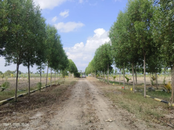 Property for sale in Uthandi, Chennai