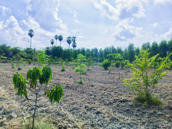 Property for sale in Madurantakam, Chennai