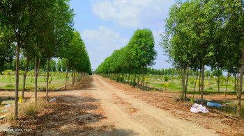 Agricultural/Farm Land for Sale in Madhurandagam, Chennai (9614 Sq.ft.)