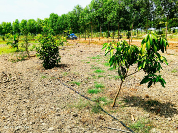 Agricultural/Farm Land for Sale in Melmaruvathur, Chennai (9616 Sq.ft.)