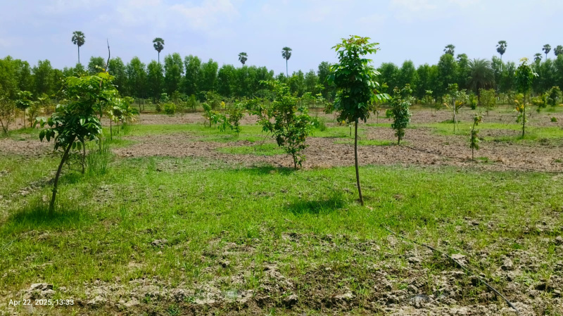 Agricultural/Farm Land for Sale in Madhurandagam, Chennai (9619 Sq.ft.)