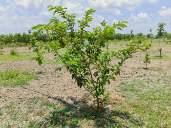 Property for sale in Madhurandagam, Chennai