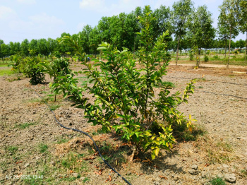 Property for sale in Melmaruvathur, Chennai