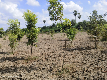Agricultural/Farm Land for Sale in Madurantakam, Chennai (9652 Sq.ft.)