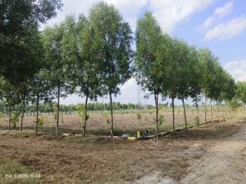 Property for sale in Madurantakam, Chennai