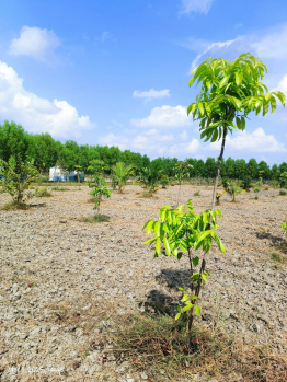 Agricultural/Farm Land for Sale in Melmaruvathur, Chennai (9659 Sq.ft.)