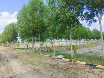 Property for sale in Uthramerur, Chennai