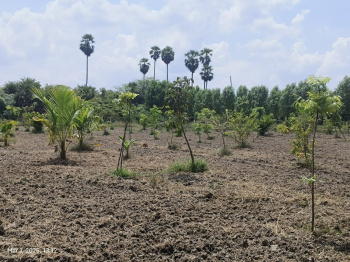 Property for sale in Uthramerur, Chennai