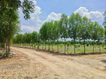Property for sale in Madurantakam, Chennai