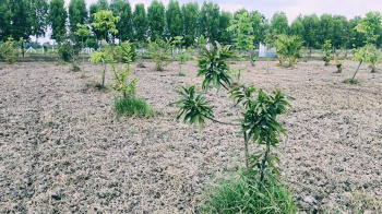 Property for sale in Uthramerur, Chennai