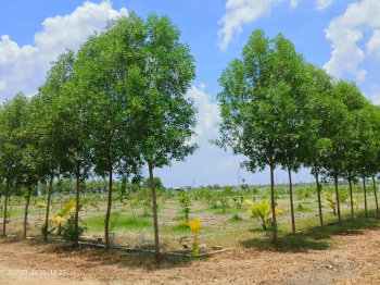 Property for sale in Uthramerur, Chennai