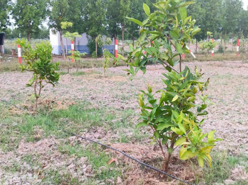 Property for sale in Madhurandagam, Chennai