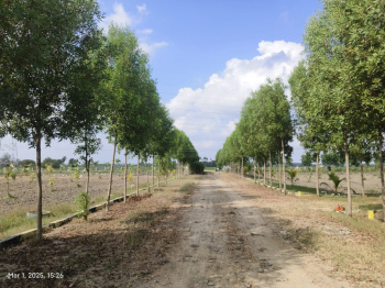 Agricultural/Farm Land for Sale in Melmaruvathur, Chennai (9696 Sq.ft.)