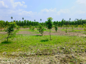 Property for sale in Pulipakkam, Chengalpattu