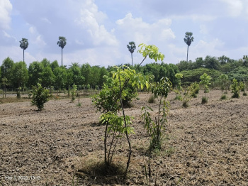 Property for sale in Mamandur, Chengalpattu