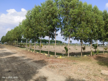 Property for sale in Pulipakkam, Chengalpattu