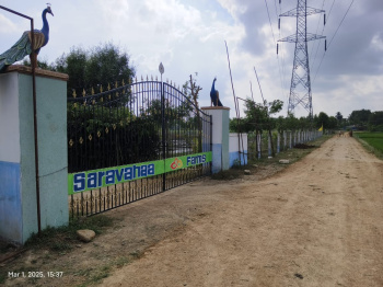 Agricultural/Farm Land for Sale in Madurantakam, Chennai (9702 Sq.ft.)