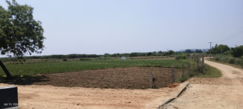 farmland for sale near tiruvallur