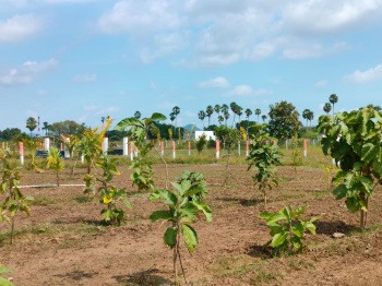 Property for sale in Kanakammachatram, Thiruvallur