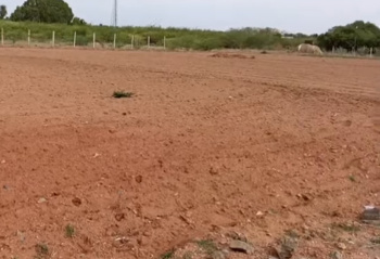 farmland sale in melmaruvathur