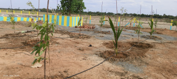9150 Sq.ft. Agricultural/Farm Land for Sale in Salavakkam, Kanchipuram