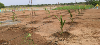 Agricultural/Farm Land for Sale in Chengalpattu, Chengalpattu (10500 Sq.ft.)