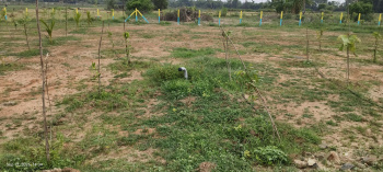 Property for sale in Bukkathurai, Chengalpattu