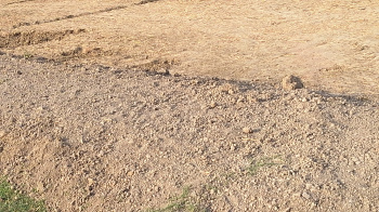 Property for sale in Jamui, Mirzapur-cum-Vindhyachal