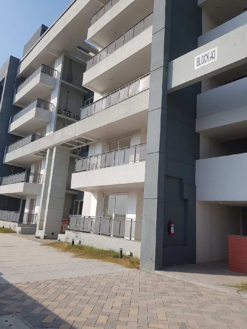 2 BHK Flats & Apartments for Sale in Sector 106, Gurgaon (1000 Sq.ft.)