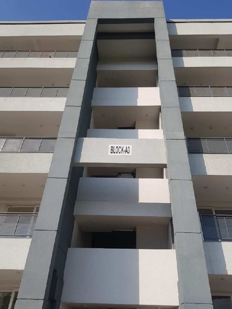 2 BHK Flats & Apartments for Sale in Sector 106, Gurgaon (1000 Sq.ft.)