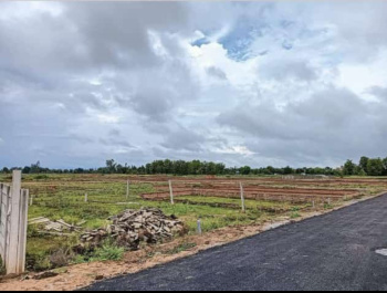 Residential Plot for Sale in Sector-11