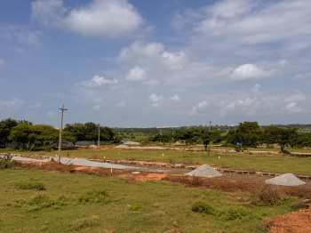 Residential Plot for Sale in Kanteikolia, Dhenkanal (1742 Sq.ft.)