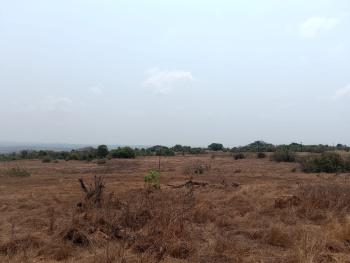 Property for sale in Devgad, Sindhudurg