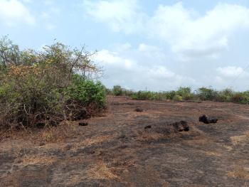 Property for sale in Devgad, Sindhudurg