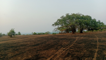 Agricultural/Farm Land for Sale in Kudal, Sindhudurg (55 Acre)