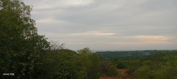 Property for sale in Vengurla, Sindhudurg