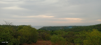 3 Acre Commercial Lands /Inst. Land for Sale in Vengurla, Sindhudurg