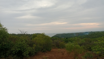 Property for sale in Vengurla, Sindhudurg