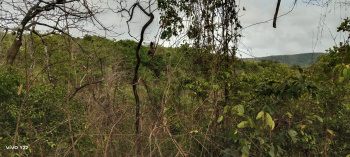 Residential Plot for Sale in Kudal, Sindhudurg (40 Guntha)
