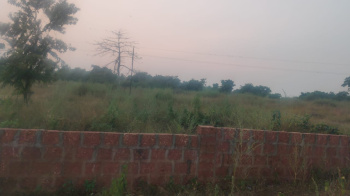 Residential Plot for Sale in Vengurla, Sindhudurg (2.20 Acre)