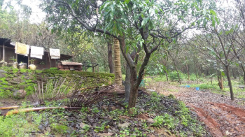 Property for sale in Dodamarg, Sindhudurg