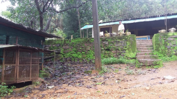 Property for sale in Dodamarg, Sindhudurg