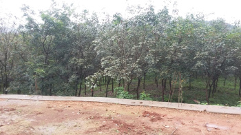 Property for sale in Dodamarg, Sindhudurg