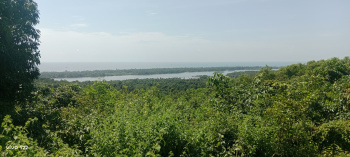 Commercial Lands /Inst. Land for Sale in Vengurla, Sindhudurg (152 Guntha)