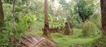 Property for sale in Kudal, Sindhudurg