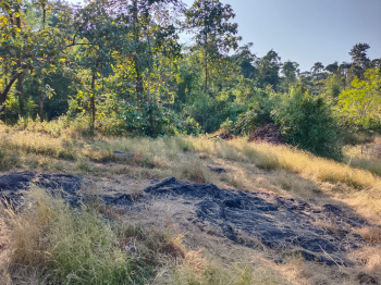 Agricultural/Farm Land for Sale in Kudal, Sindhudurg (107 Guntha)